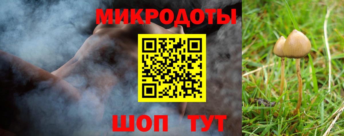 Соликамск  Псилоцибиновые грибы прущие грибы  Вход с VPN 